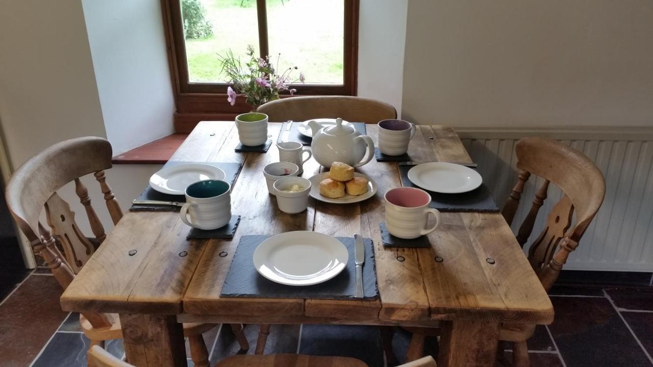 Coopers Cottage Dog Friendly North Cornwall Delabole Buitenkant foto